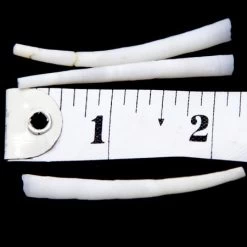 49DT112: Smooth Dentalium Shells 2 Inch 25 Grams -Handmade Beads Discount Store 49DT112 Beads Shell