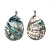 AB171-B: Abalone Pendant Teardrop With Bail 37x47mm - 1 Each