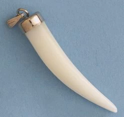 MP35: Mother Of Pearl Tusk With Cap 35mm Long Silver Cap - 3 Pieces
