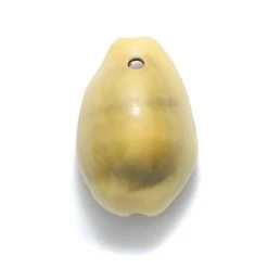 SH110-6T: India Cowry Shell Yellow 15-21mm 1-hole - - 50 Grams