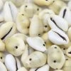 SH110-7T: India Cowry Shell Yellow 15-21mm 2-hole 100 Gm Bag -Handmade Beads Discount Store SH110 7T Beads ShellBeads CowrieShells