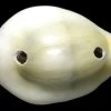 SH110-7: India Cowry Shell Yellow 18-22mm 2-hole - 100 Grams