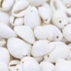 SH110-8T: India Cowry Shell White15-21mm 1-hole 2 SH110-8T: India Cowry Shell White15-21mm 1-hole -Handmade Beads Discount Store SH110 8T Beads ShellBeads CowrieShells